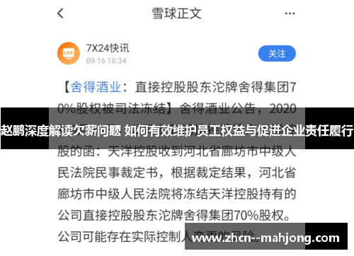 赵鹏深度解读欠薪问题 如何有效维护员工权益与促进企业责任履行