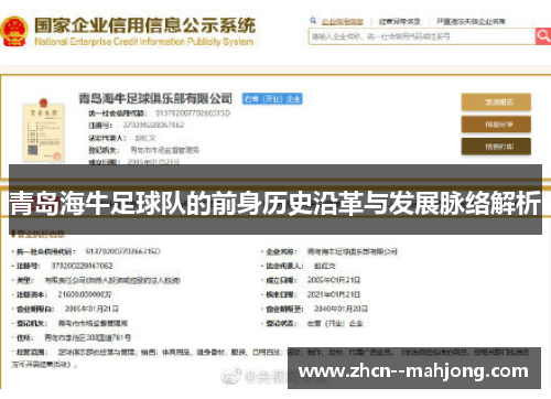 青岛海牛足球队的前身历史沿革与发展脉络解析 青岛海牛足球队的前身历史沿革与发展脉络解析
