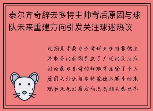 泰尔齐奇辞去多特主帅背后原因与球队未来重建方向引发关注球迷热议 泰尔齐奇辞去多特主帅背后原因与球队未来重建方向引发关注球迷热议